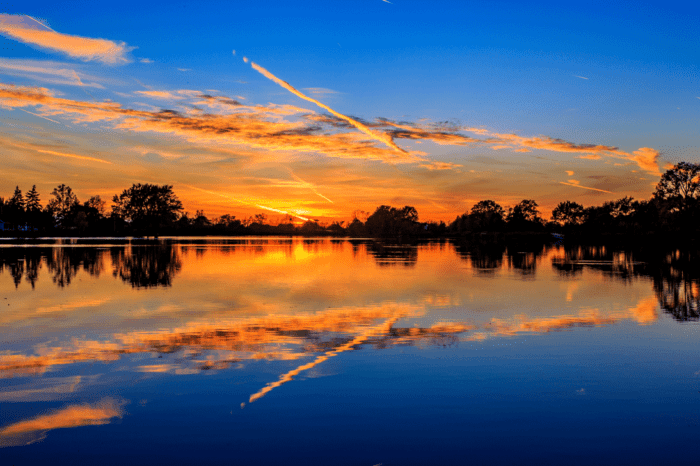 Landscape 1